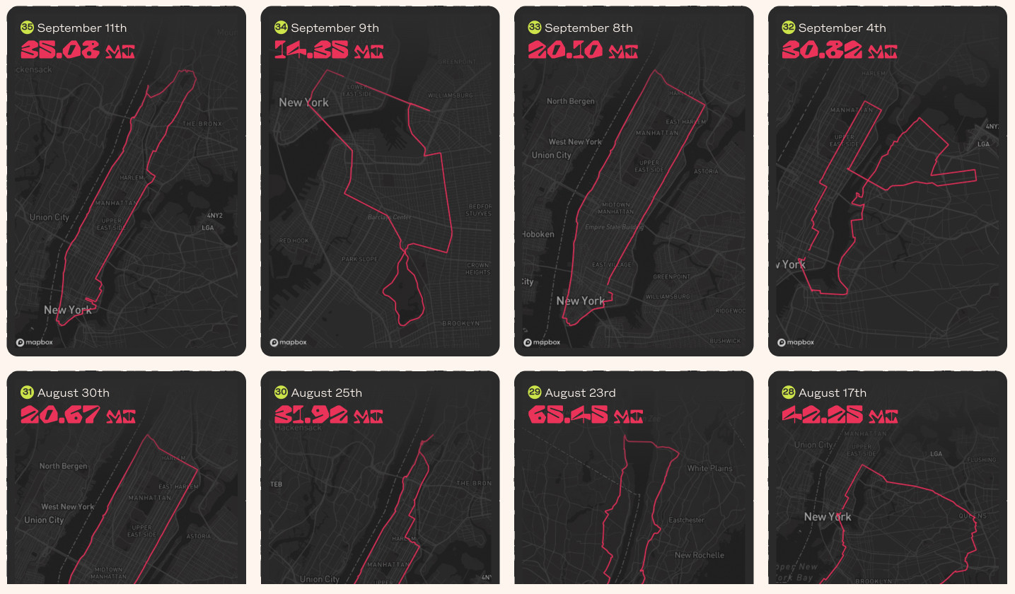 A screenshot of part of the ride maps.