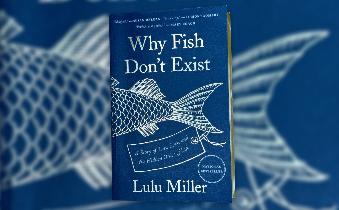 The cover of the book 'Why Fish Don't Exist' by Lulu Miller. It's a blue cover, with the title of the book at the top, then the outline of the back half of a scaley fish. The subtitle; 'A Story of Loss, Love, and the Hidden Order of Life' is displayed on a tag sewed to the fish's tail.